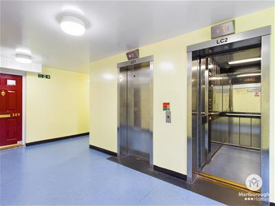 Picture 15